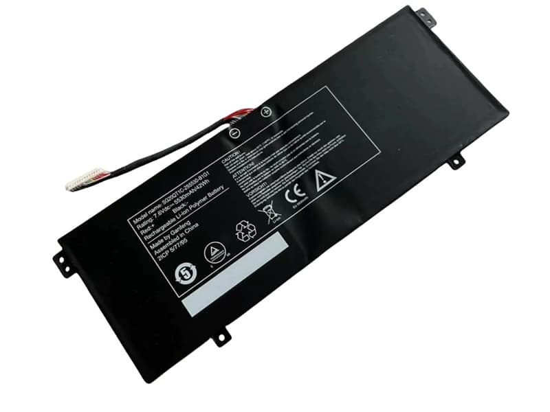 Batteri til Bærebar og notebooks SG20QT1C-2SS5530-B1G1