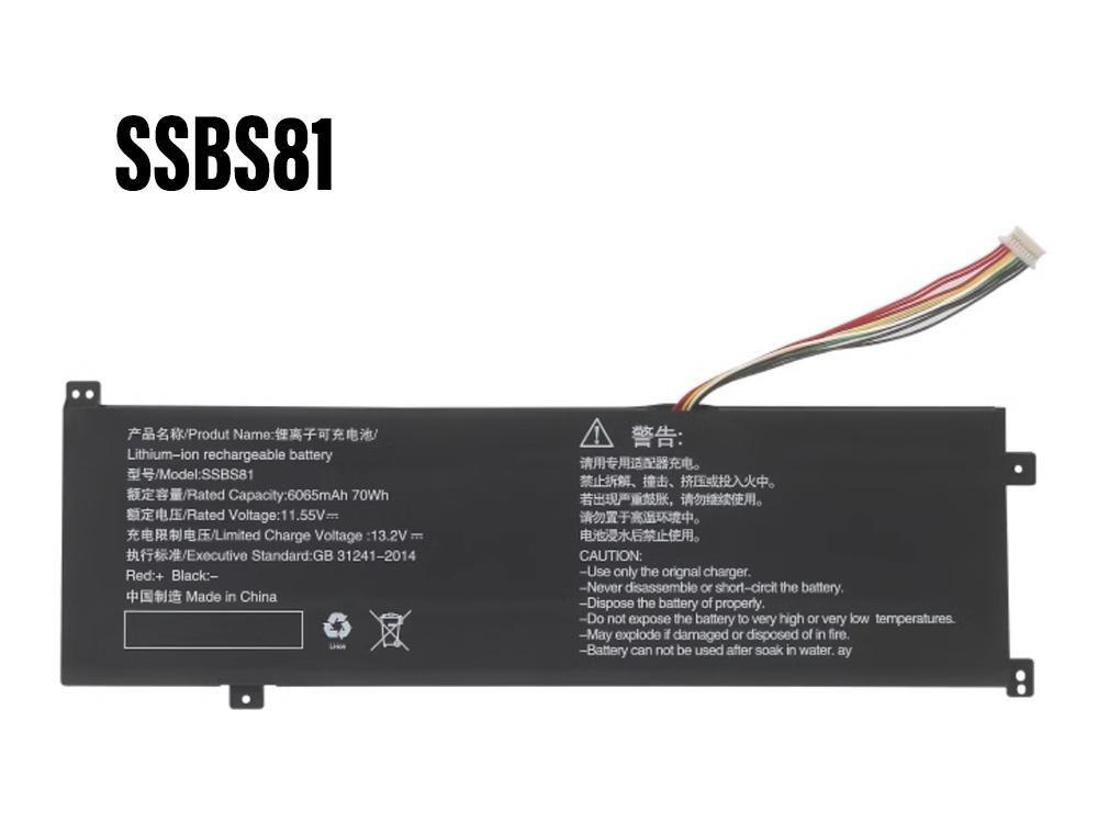 Batteri til Bærebar og notebooks SSBS81
